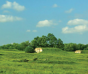 Blue-Grass-Chemical-Activity-1